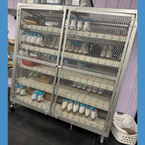 Skate Library Check Out